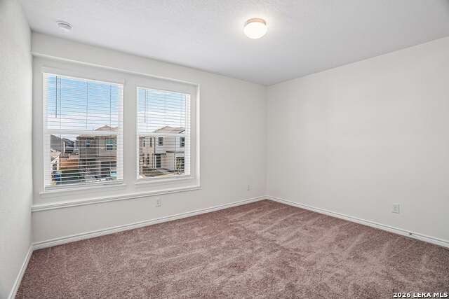 13007 Bone Dry Lane Property Photo 19