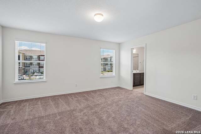 13007 Bone Dry Lane Property Photo 23