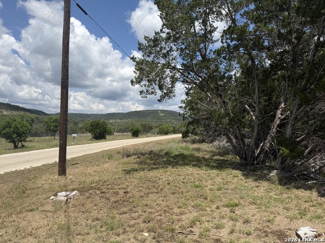343 Live Oak Property Photo 1