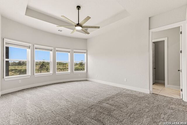 11625 Hollering Pass Property Photo 26