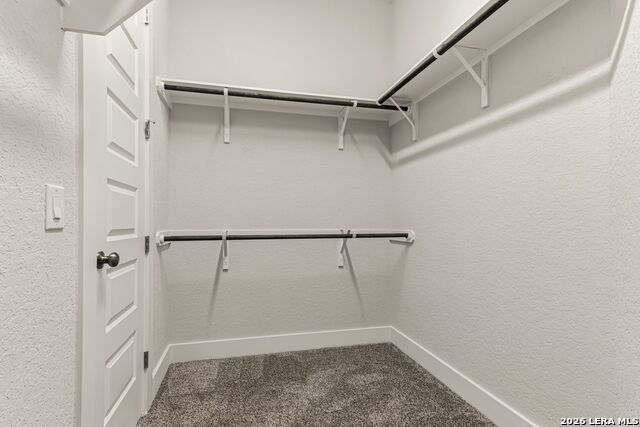 11625 Hollering Pass Property Photo 29