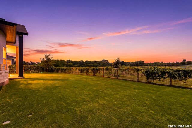 11625 Hollering Pass Property Photo 49