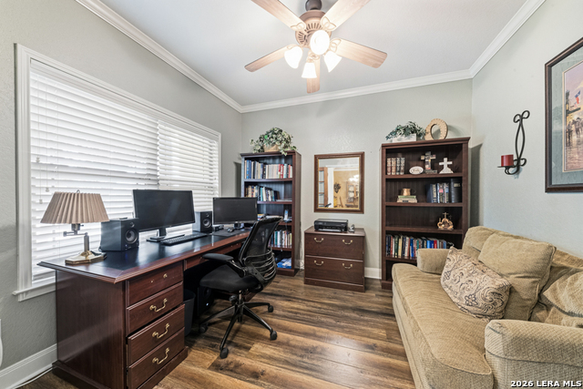 1511 Mount Bear Property Photo 14