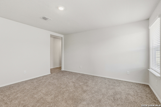 5923 Hartley Home Property Photo 8