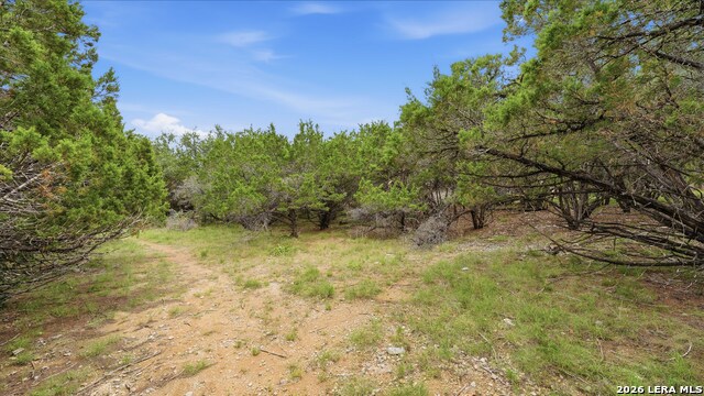 26214 Misty Pt Property Photo 4