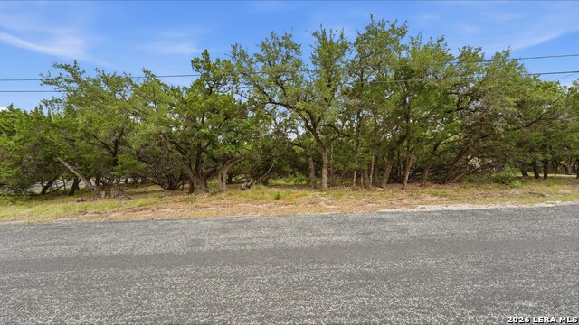 26214 Misty Pt Property Photo 10