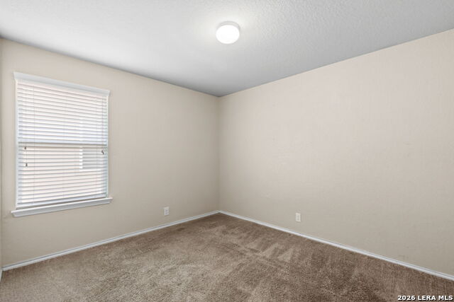 14037 Shivers Cv Property Photo 18