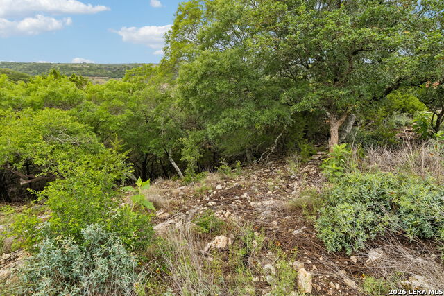 428 Paradise Point Property Photo 8