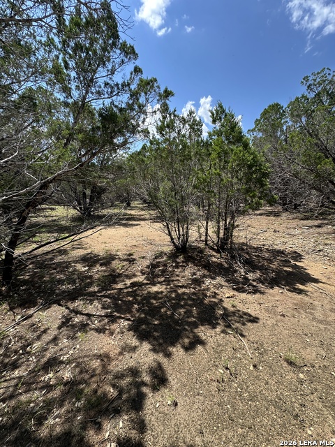 Tbd N Oak Lawn Dr Property Photo 8