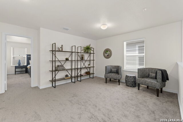 14839 Vance Jackson Unit #1101 Property Photo 16