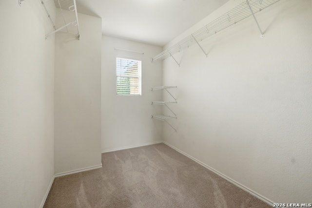 20526 Blue Trinity Property Photo 23