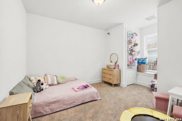 411 Aurora Basin Property Photo 16