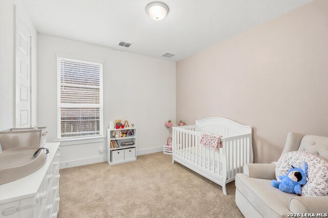 411 Aurora Basin Property Photo 17