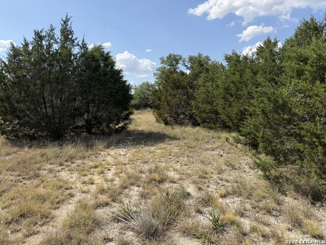 1 High Point Property Photo 3