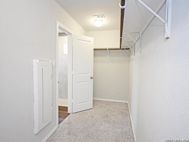 447 Agave Flats Dr Property Photo 30