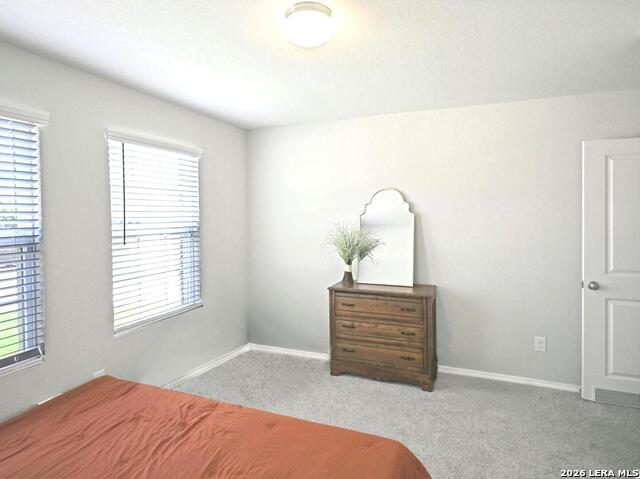 447 Agave Flats Dr Property Photo 34