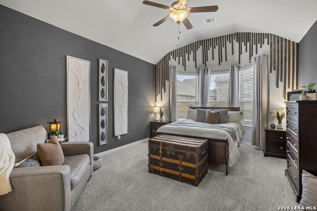 23118 Evangeline Property Photo 19