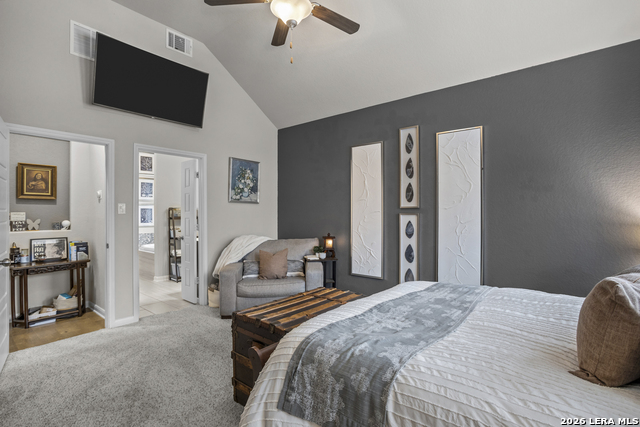 23118 Evangeline Property Photo 21