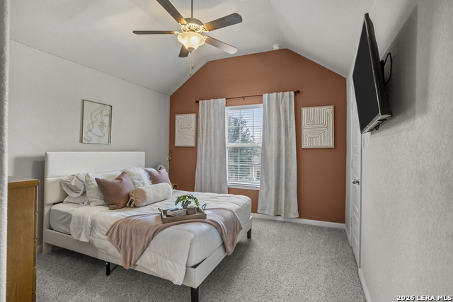 23118 Evangeline Property Photo 37