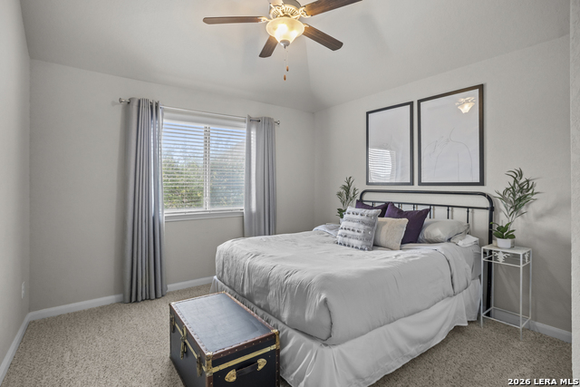 23118 Evangeline Property Photo 39
