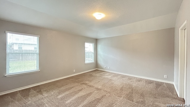 15549 Gray Catbird Property Photo 20