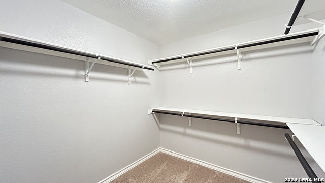 15549 Gray Catbird Property Photo 26