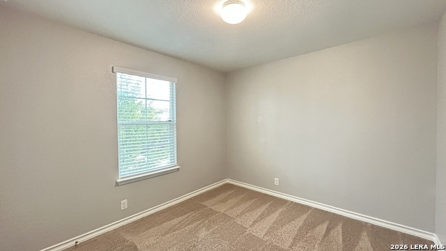 15549 Gray Catbird Property Photo 33