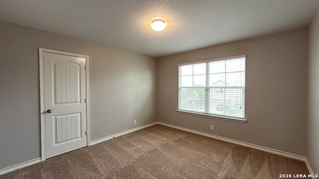 15549 Gray Catbird Property Photo 37