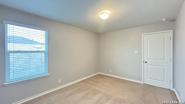 15549 Gray Catbird Property Photo 42