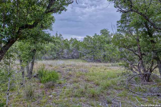 Lot 154 1796 Ranch Property Photo 5