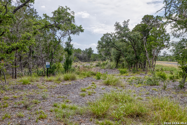 Lot 154 1796 Ranch Property Photo 6