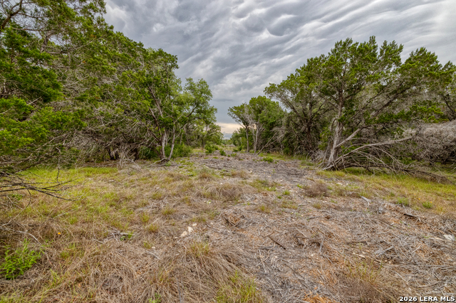 Lot 154 1796 Ranch Property Photo 9