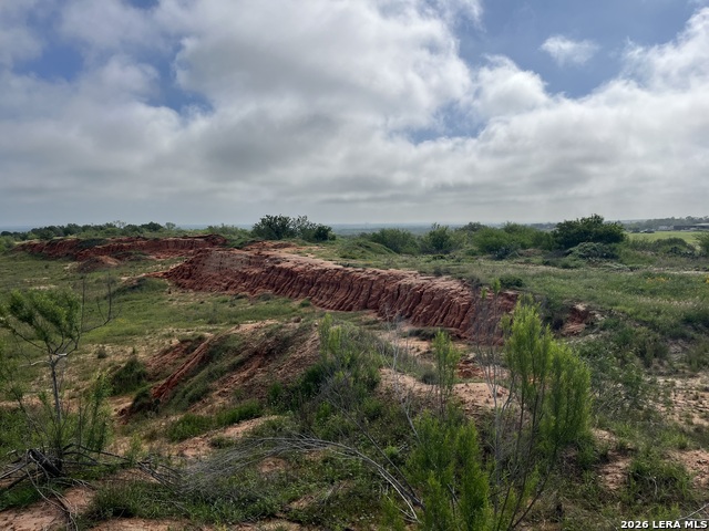 22048 Us Highway 281 S Property Photo 5