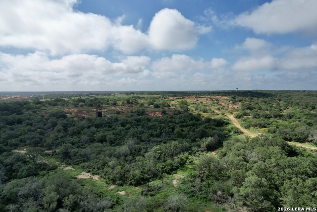 22048 Us Highway 281 S Property Photo 6