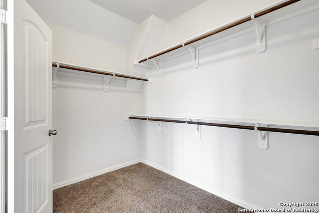 8907 Wyatts Run Property Photo 18