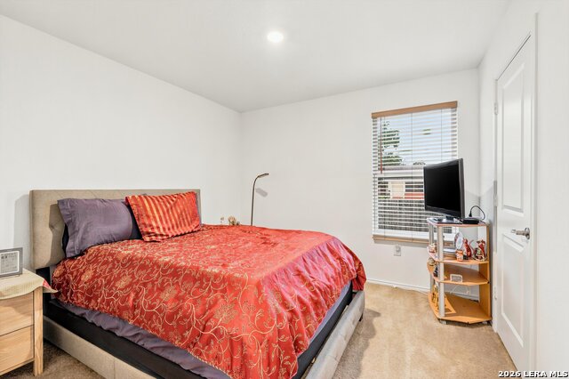 502 Primrose Property Photo 12
