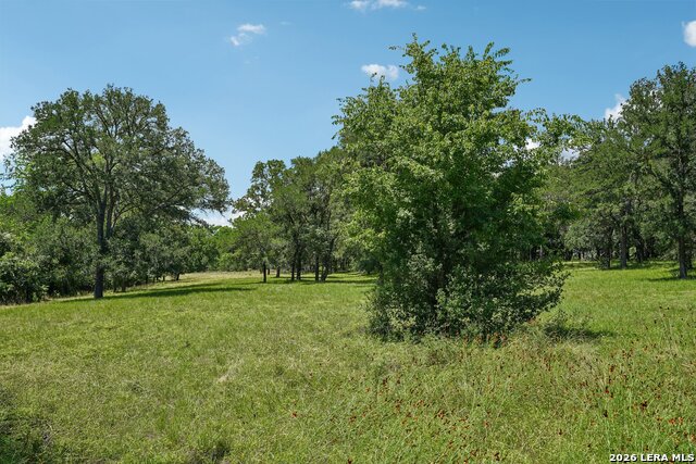 10207 E Us Highway 290 Property Photo 51