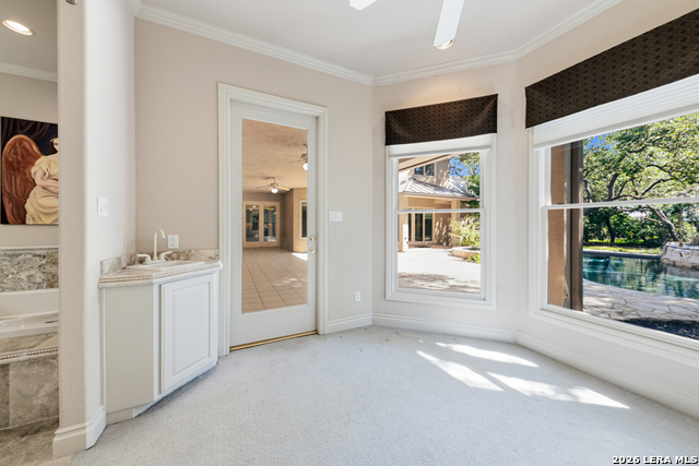 519 Blackjack Oak Property Photo 19