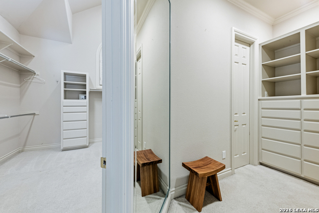 519 Blackjack Oak Property Photo 20