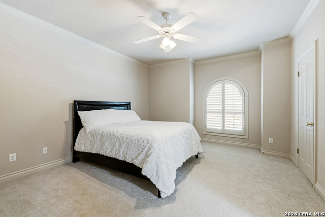519 Blackjack Oak Property Photo 45