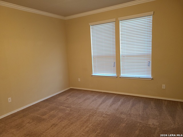 11431 Unbridled Property Photo 18