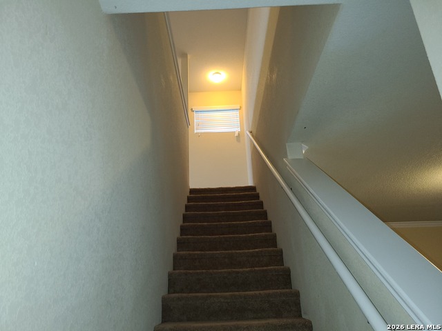 11431 Unbridled Property Photo 24