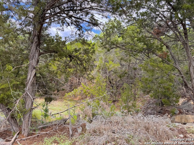 714 Caballo Trl Property Photo 5