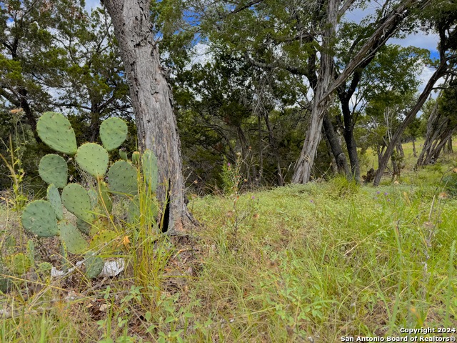 714 Caballo Trl Property Photo 7