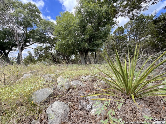 714 Caballo Trl Property Photo 9