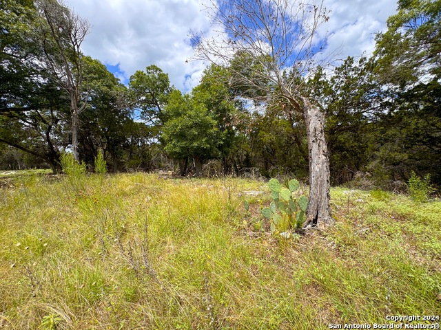 714 Caballo Trl Property Photo 11