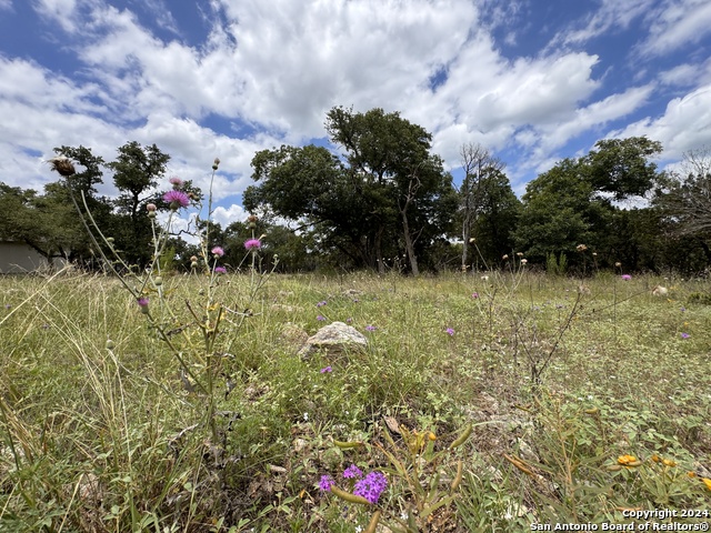 714 Caballo Trl Property Photo 12