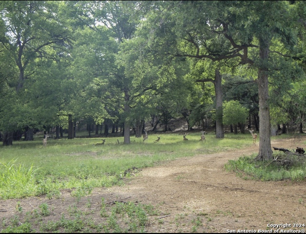 714 Caballo Trl Property Photo 16