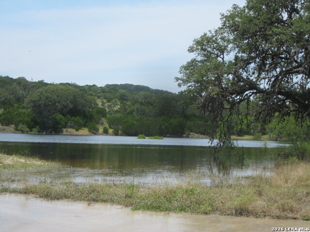 2131 Forest Trail Property Photo 21