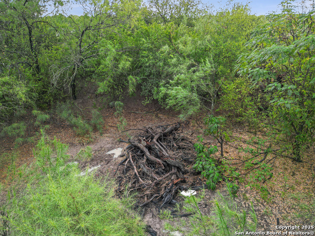 Tbd Jackel Rd Property Photo 6